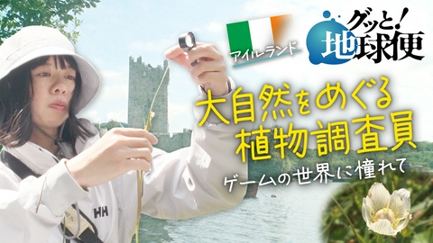 グッと！地球便 「ゼルダの伝説」に憧れアイルランドで植物調査員になった娘