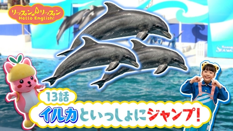 リッスン♪リッスン Hello English！ ♪１３　イルカといっしょにジャンプ！