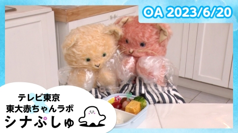 シナぷしゅ 　