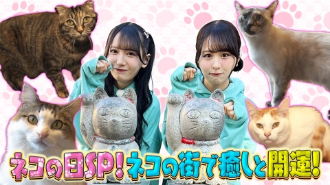 ノイミーステーションTV 【かわいいしかない！尾木＆鈴木がニャンニャンニャン！ネコの日にネコにまみれて癒やされまくるSP】