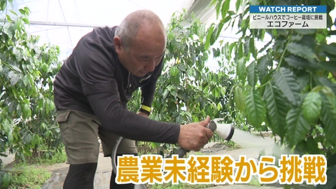 埼玉ビジネスウオッチ 特集「県内でコーヒー栽培に挑戦～エコファーム」