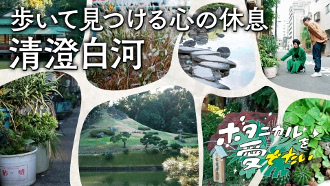 ボタニカルを愛でたい 傑作選