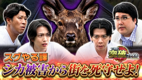 THE突破ファイル スグやる課VSリアル社会問題!東京にもシカ襲来!?▼税関DJ密輸手口