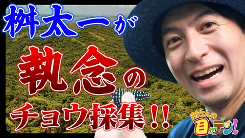 所さんの目がテン！ 桝太一&TokyoBugBoysがパラオで念願のチョウに出会う