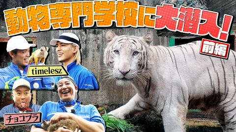 地球まるごと大実験 ネイチャーティーチャー チョコプラ・timeleszが日本最大級の動物専門学校に大潜入！ネイチャー特別課外授業SP！