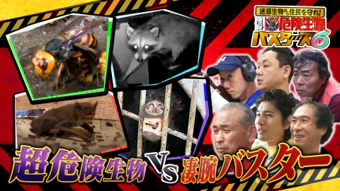 迷惑生物から住民を守れ！凄腕！危険生物バスターズ 危険生物バスターズ6★住民を守れ！駆除の神VS凶暴クマ＆殺人スズメバチ