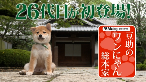 Airdogpresents　豆助のワンにゃん総本家 Airdogpresents　豆助のワンにゃん総本家