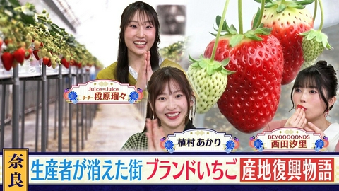 西乃風ブラン堂 ＃191「生産者ゼロだったのに…いちご産地の復活劇」