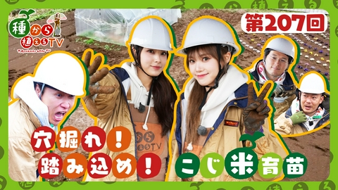 種から植えるTV 第207回 ザ・マミィ＆RINKA・MOMOKA（GPP） またまた穴掘り！1からお米の苗を育てられるか!?