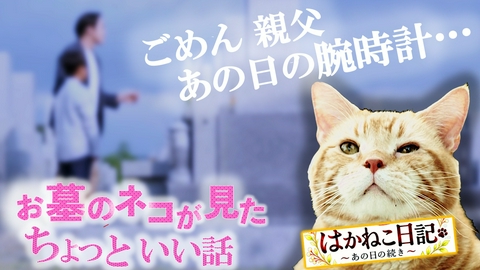 加登presents はかねこ日記～あの日の続き～ 忘れていた時間