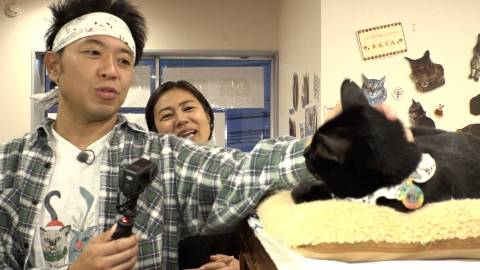 ねこ自慢 ヨットで日本一周した冒険好きニャンコが登場！佐渡島の地域猫活動に密着