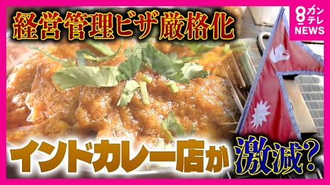 newsランナー 『経営・管理ビザ』“厳格化”　ネパール人経営のインドカレー店5000店が存続危機　日本に住むネパール人は10年間でおよそ5倍に