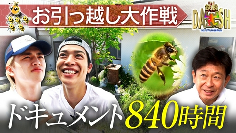 ザ！鉄腕！DASH!! 棲みつく可能性5%以下…新宿ミツバチを再び呼べるか!?