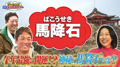 ザワつく！ 金曜日 開運ツアー 箱根最強開運スポット巡り！午年最強の開運!?神秘の馬降石とは？