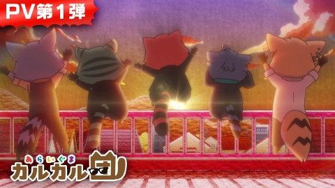 あらいぐま カルカル団 【2025年4月放送開始！】「あらいぐま カルカル団」PV第１弾