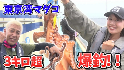 田村亮の釣りならまかせろ！ キラキラアピールで大物ゲット！？ マダコ釣りならまかせろ！