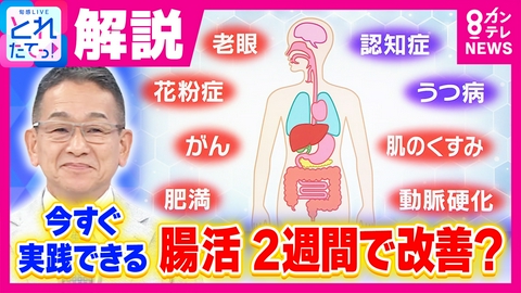 旬感LIVE とれたてっ！ 「がん」や「うつ病」にも全て“腸”が関係！？今すぐ実践「夏の腸活」を専門家が解説　“2週間”で改善に期待も？