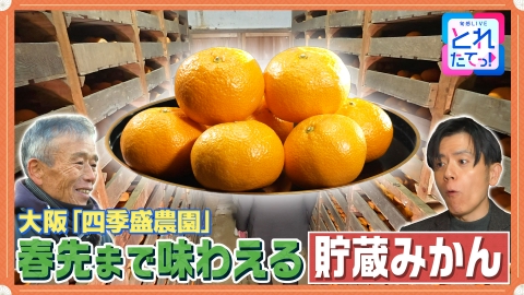モノづくりの源場～なくしたくないニッポン 【貯蔵みかん】400年以上続く 味を深める伝統技術