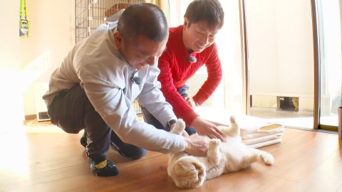 ねこ自慢 U字工事が倒産の危機を救った猫に会いに行く！にゃんたま撮影紀行に密着