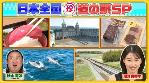 ナニコレ珍百景 野生イルカと遭遇…まるで遊園地!?GWに行きたい全国の珍百景な道の駅SP!!