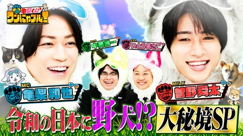 亀梨くんのワンにゃフル！ 【未公開トーク付】MC：亀梨和也！【令和の野犬】を救え＆70歳おばあちゃん【夢のシェパード】を飼う