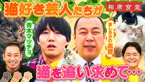 相席食堂 猫好き芸人のかけおち・青木マッチョときしたかの・高野が癒やしの猫相席！猫が必ず来るアフリカ楽器とは？
