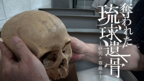MBSドキュメンタリー 「映像」シリーズ 奪われた琉球遺骨～研究か尊厳か～