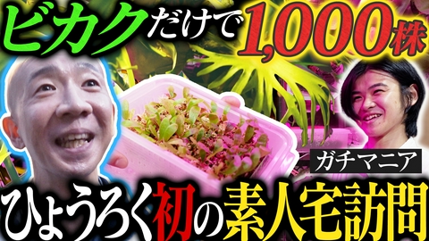変態植物倶楽部 【隣の変態ハウス】ビカクマニア・尾形家