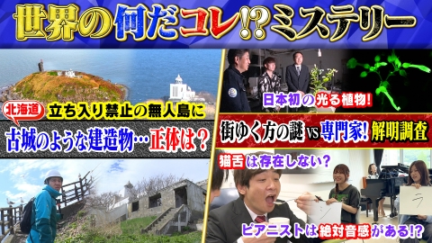 珍妙な石 なんだこれは 世界の何だコレ！？ミステリー 6月4日(水)放送分 立ち入り禁止の無人島