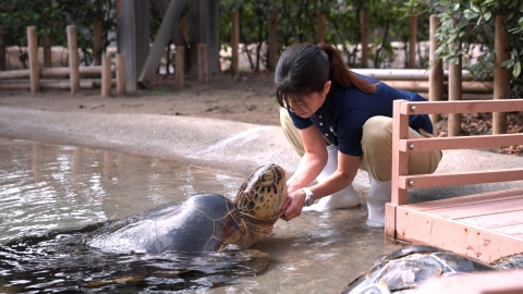 ヒーロー～あなたの仕事が未来を変える～ 第5回 展示飼育員・佐野真奈美