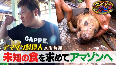 クレイジージャーニー アマゾン・先住民族シャウィが狙う“幻の肉”★大海賊キャプテン・キッドの財宝が日本に！？