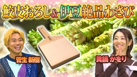 世界！ニッポン行きたい人応援団 4月28日(月)放送分 鮫皮おろし＆伊豆