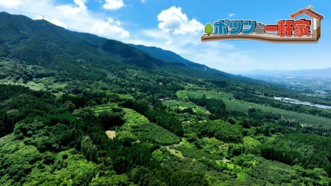 ポツンと一軒家 福岡県の山の中にポツンと一軒家を発見！先代から続く柿畑を父子で守り続ける暮らしの今に迫る。