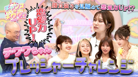 チャンスのチワワ チワワちゃんプレッシャーチャレンジでハプニング続出！