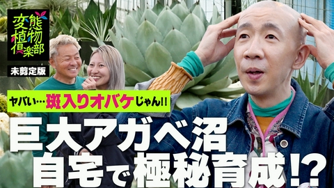 変態植物倶楽部 【未剪定版】アガベの秘密基地・内田農園