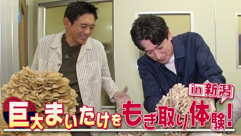 華丸丼と大吉麺 新潟県・越後湯沢シリーズの第2回！南魚沼産コシヒカリ、神楽南蛮味噌、日本酒大吟醸、巨大まいたけ、空飛ぶ団子！？少食おじさんの目移りが止まらない！！