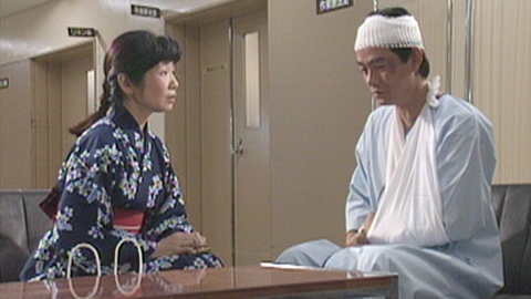 渡る世間は鬼ばかり 第1シリーズ(橋田壽賀子ドラマ) 1991年放送