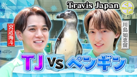 シューイチ 海の生き物の健康管理をスタディー【Travis JapanのスタディーJAPAN】