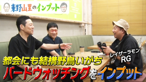 東野山里のインプット 東野山里のインプット31