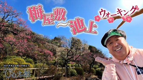 バナナマン日村が歩く！ ウォーキングのひむ太郎 3月11日(火)放送分 梅 