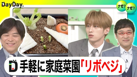ぎゅう？〜断捨離中〜様　　ウルージ ぎゅう？〜断捨離中〜様 ウルージ 台詞考察 - ウルージさんwiki