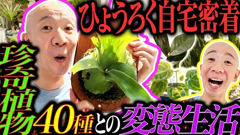 変態植物倶楽部 自宅密着！ひょうろく流㊙育成テク