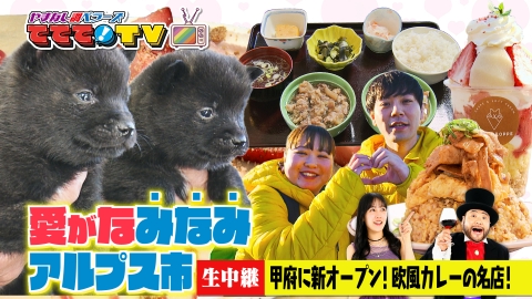 やまなし調ベラーズ　ててて！TV ふるさと調べラーin南アルプス市