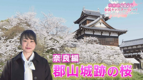 桜前線2026 全国キャスターリレー！ ～伝えたい！ふるさとの桜スポット～ 奈良編「郡山城跡の桜」