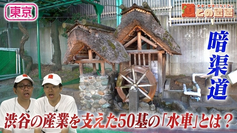 道との遭遇 【東京】川と共に発展した「渋谷」の歴史を暗渠道から紐解く