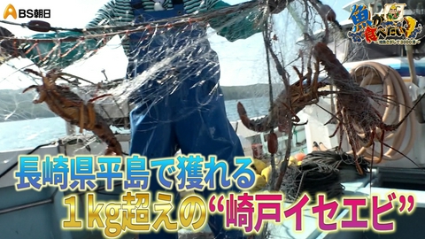 魚が食べたい！ ～地魚さがして3000港～ 長崎県で巨大イサキと巨大イセエビ漁へ！トラブル発生!?