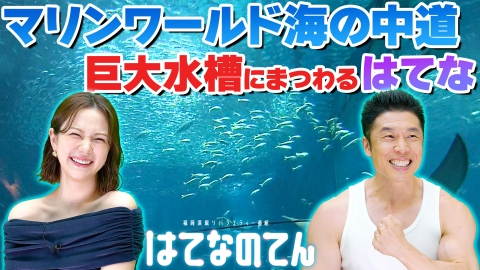はてなのてん マリンワールドの巨大水槽にまつわるハテナ