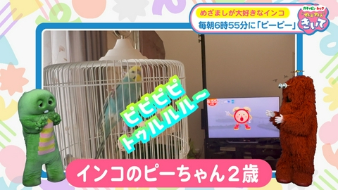 ガチャピン・ムック ねぇねぇきいて 第21回 毎朝6時55分にピーピー！