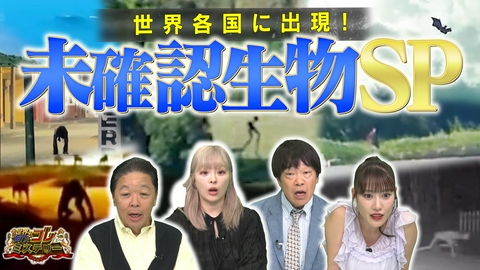 世界の何だコレ！？ミステリー 世界で撮られた何だコレUMA映像