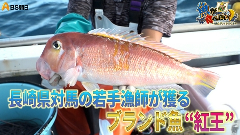 魚が食べたい！ ～地魚さがして3000港～ 対馬…アナゴ3兄弟の息子と絶品アカアマダイ漁へ！